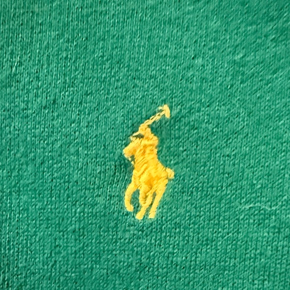 Polo by Ralph Lauren Kids Green Hoodie with Yellow Logo - Picture 3 of 6